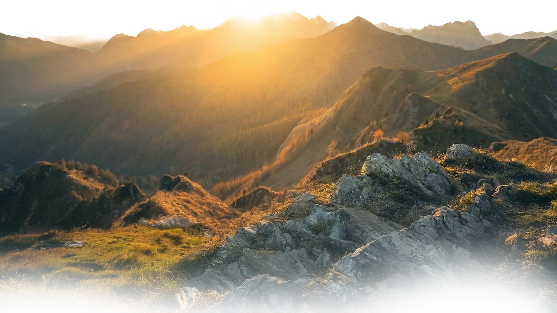 background image of parallax hero section