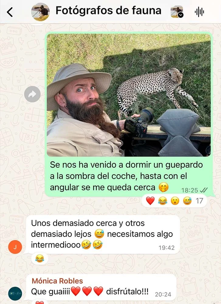 BONUS: Grupo de WhatsApp