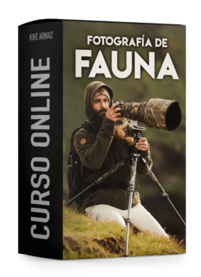 Fotografía de fauna
