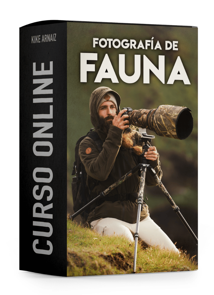 Fotografía de fauna