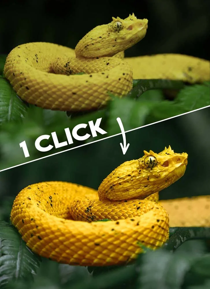 Presets de Lightroom