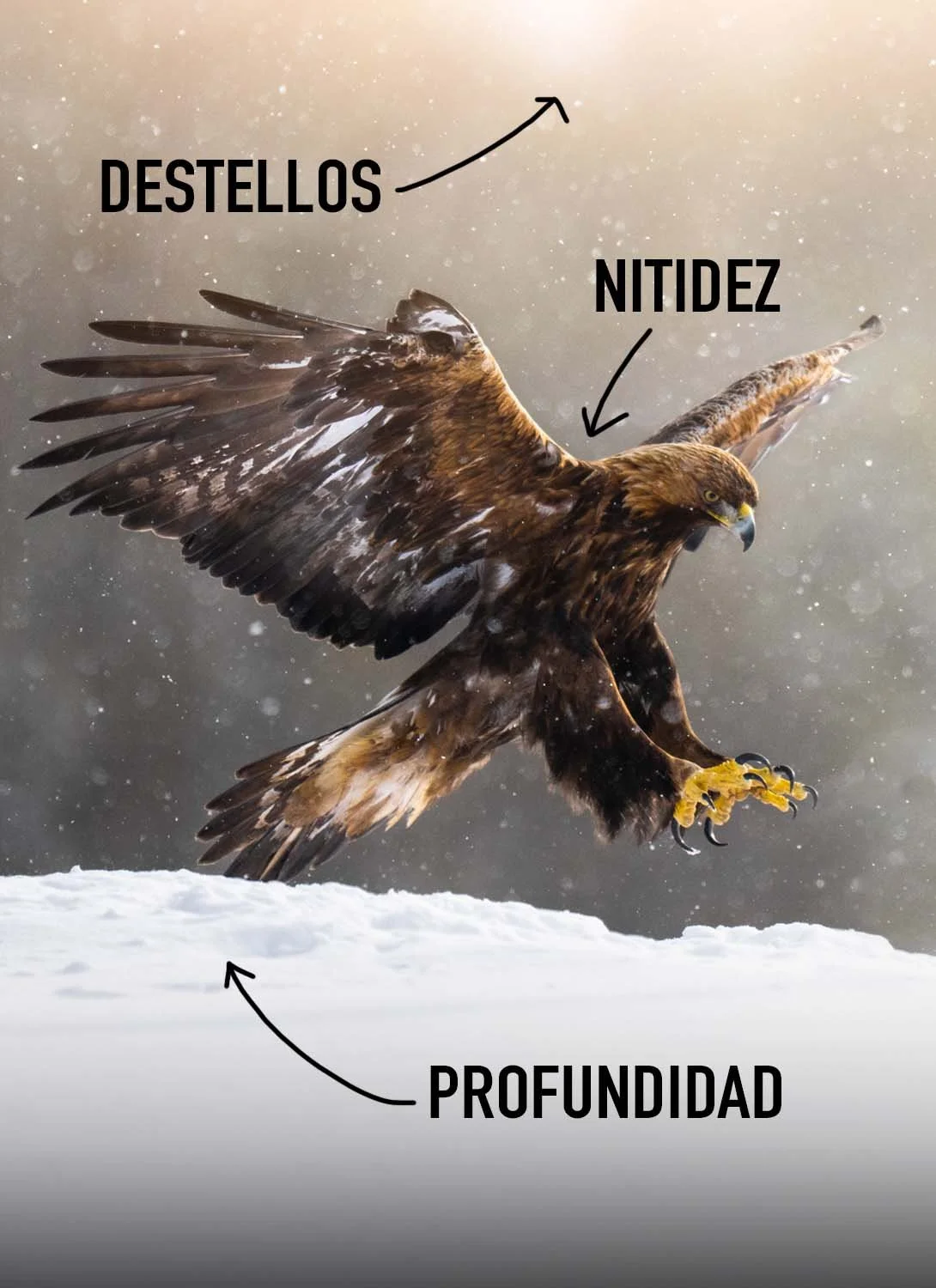 Presets de Lightroom para Naturaleza