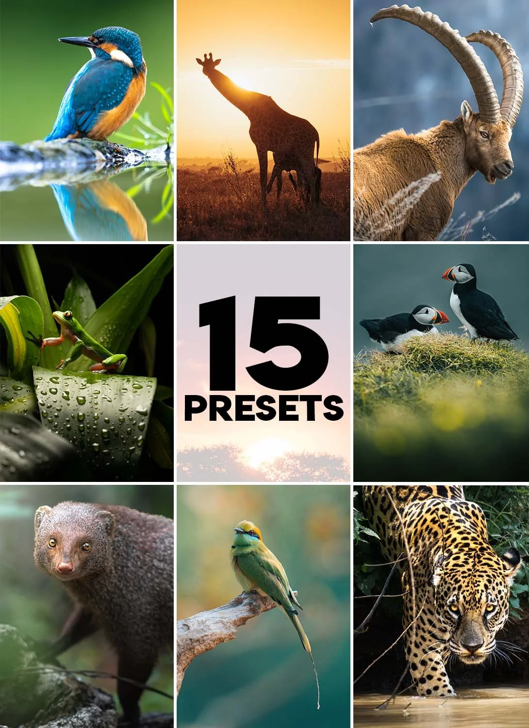 Presets de Lightroom para Naturaleza