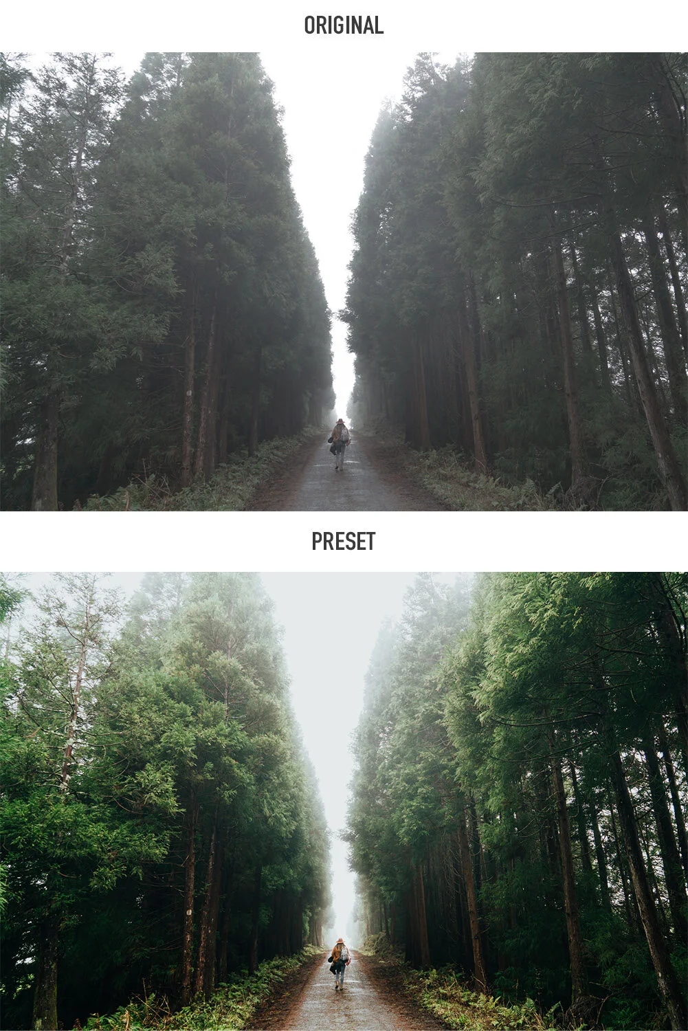 PAISAJE: Presets de Lightroom