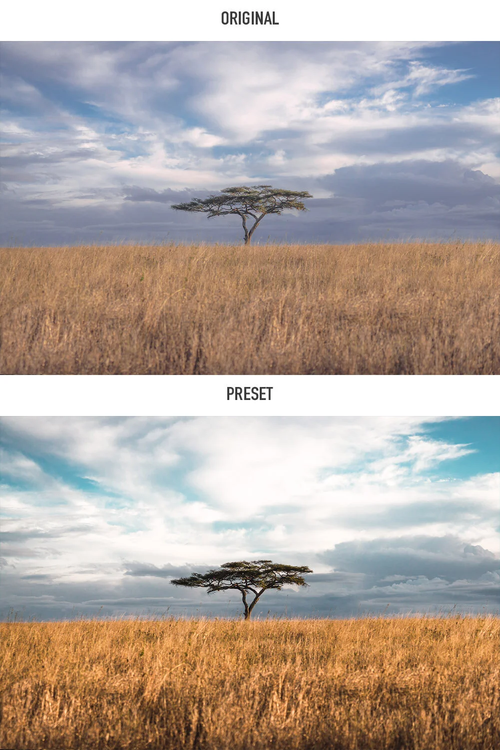 PAISAJE: Presets de Lightroom